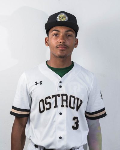 Kelvin Perez | Ostrov Baseball Academy